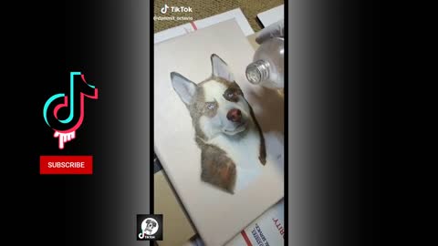Cute pets Funny Husky videos!!