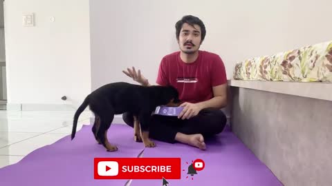 How to train your puppy dog ​​at the time of feeding - 3 MONTHS ROTTWEILER
