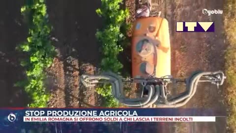ITALIA, CIBO: Agricoltura Emilia Romagna 2024, Agenda Alimentare 2030 WEF, Carne sintetica Insetti