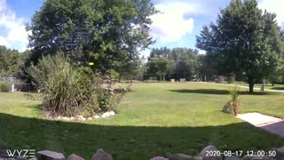 Farm Life Time-lapse