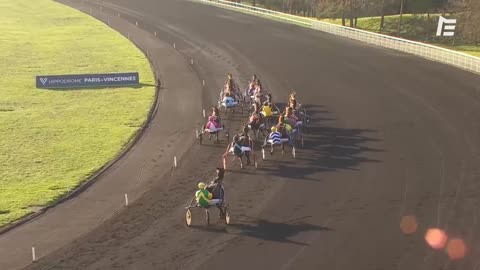 QUINTE PLUS Dénicheur du Vif - Prix de Breteuil - Vincennes - 09/01/21