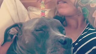 Woman stacks cereal on top of sleeping dog's head