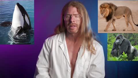 Humor - JP Sears - Woke Evolution