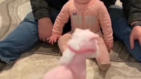 baby vs horse