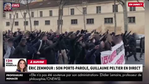 Darmanin fait passer les Anti-pass sanitaire, pour des nazis, en ne montrant que cette photo