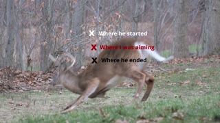 How Far Will A Deer Drop