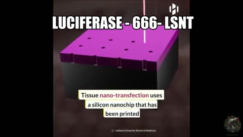 Luciferase SM102 in jabberwakie