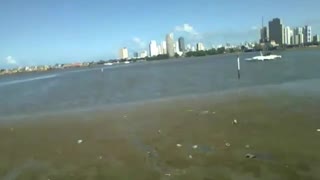 River infected by sewage, a lot of garbage in it, there are crabs living there [Nature & Animals]