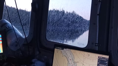 Entire mountains of dead trees Southeast Alaska