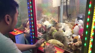 Curious Cat Stuck In Claw Machine