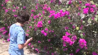 [Video] Conozca al niño colombiano que lucha por el medio ambiente