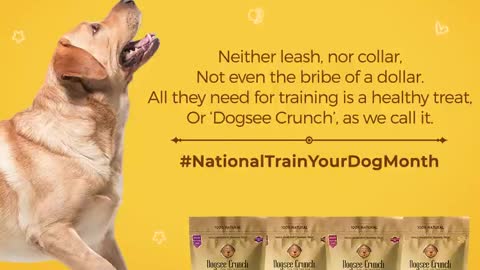 Shop healthy dog products from Dogsee Chew