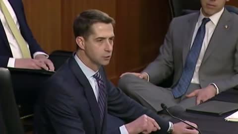 Tom Cotton Gives Democrats a Harsh Dose of Reality About Gun Control in Senate Hearing