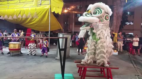 Lion Dance For Kids | Best video Lion dance