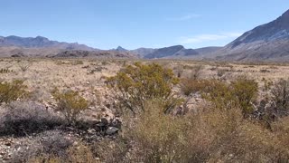 Big Bend National Park