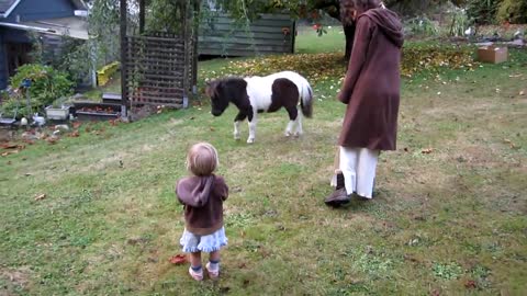 1-Yr-Old Girl Has Never Seen a Horse Before-Her Reaction Melts Everyone’s Heart