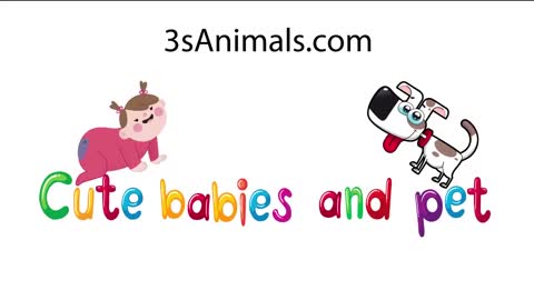 Cute Babies and Pets Videos