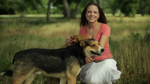 Dog's Journey beloved joyful