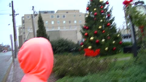 A Christmas Tree & a Girl Jealous of Sister