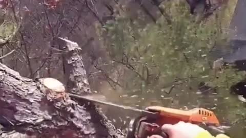 Tree Work Satisfying