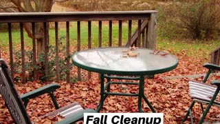 Fall Cleanup Clear Spring Maryland Landscape Company