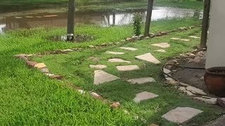 Water after heavy rains in RGV