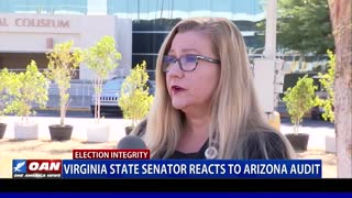 Va. state senator reacts to Ariz. election audit