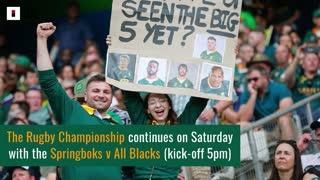 Springboks v All Blacks preview