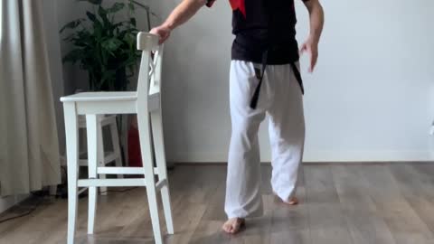 Karate Beginner Class 8