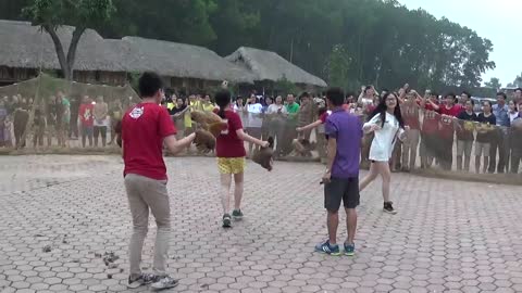 Fun Vietnamese folk games - Catch the chicken