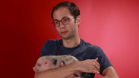 Bacon Lovers Meet Baby Pigs