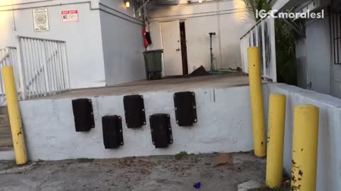 Red shirt kid jumps bicycle off concrete ledge and faceplants