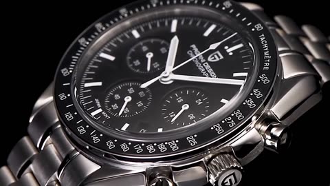 PAGANI DESIGN 2023 New Luxury Quartz Watch For Men Sapphire Automatic