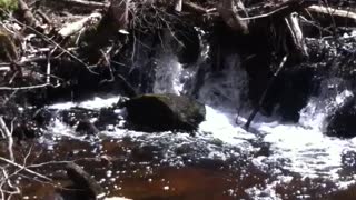 Canadian Spring melt Waterfall in the bush