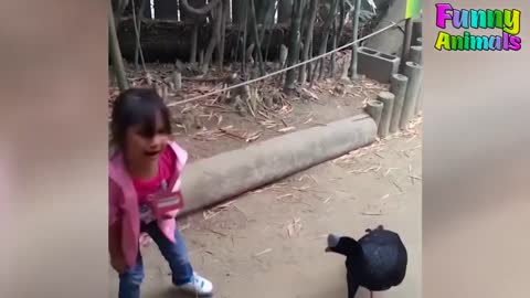 ANIMALS ATTACKING REALLY FUNNY REACTIONS!!!!!