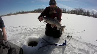 Billings Montana Carp Ice Fishing