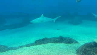 Dance Under Water