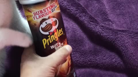 A cat loves Pringles 😁😁