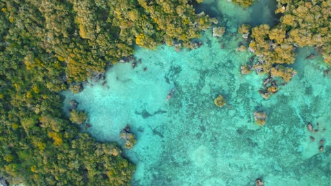 Top View of a Wooden Boat on Beach Shore