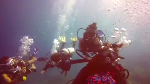 Group Of Divers React To Camera Under Water