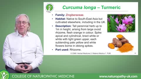 Turmeric, Important ingredient in the Herbal Medicine