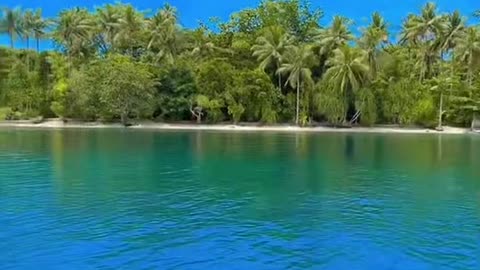 Beachside view from the boat