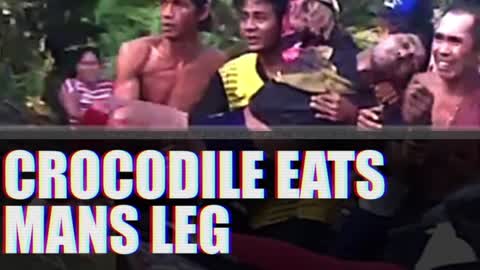 NSFW - Crocodile Eats Mans Leg