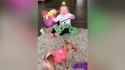 Cute dogs and babies are best friends-Dogs babysitting babies videos