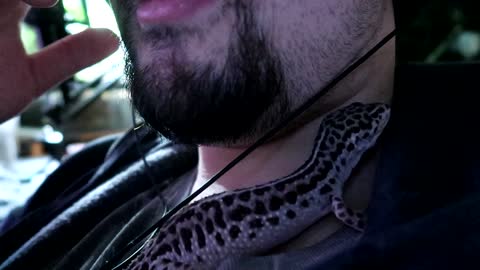 I love you Partha the Gecko :)