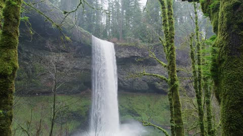 Waterfall In The Forest