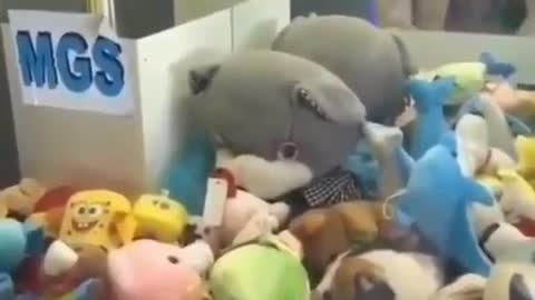 Curious Cat Stuck In Claw Machine 🐈