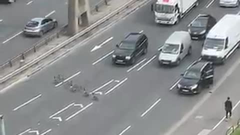 geese crossing