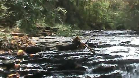 Running water in a small creek