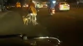 Man in India walks both his dogs to work on bicycle